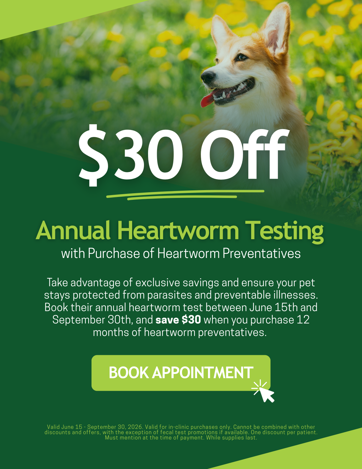 HWS Promo
