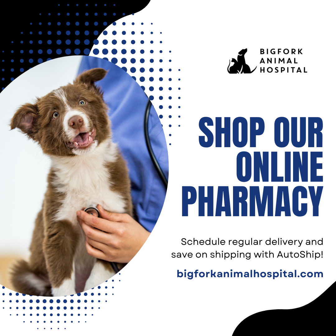 Online Pharmacy Online Pharmacy