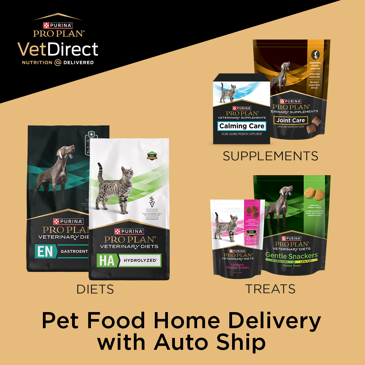 Vet Direct